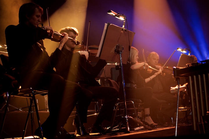 Puls_2014_01