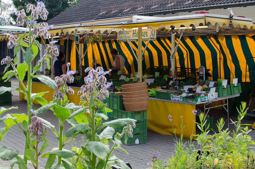 L'Heckerei Supperclub Dinnerclub vegan Gärtnerei Hecker Olching