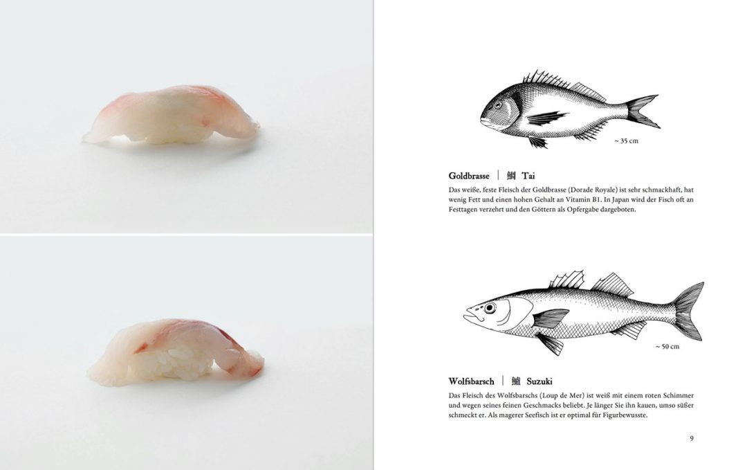 sushi-guide-nigiri