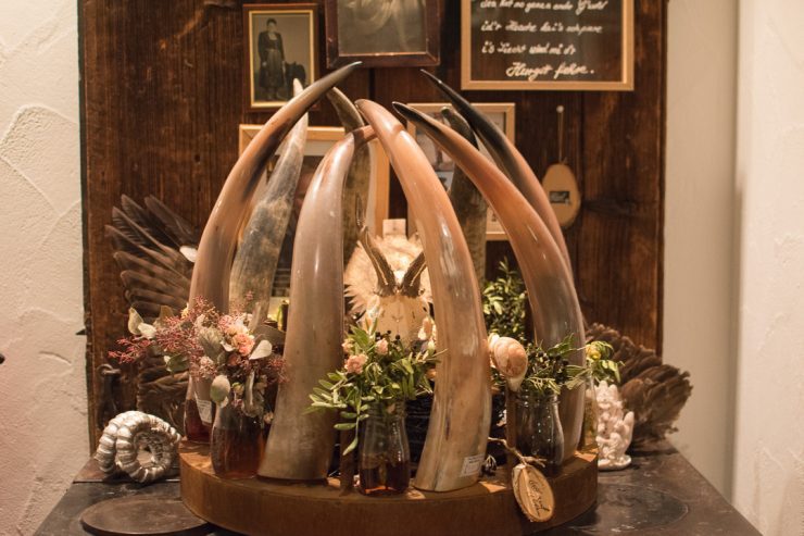 Hubertus Lodge Balderschwang - ISARBLOG
