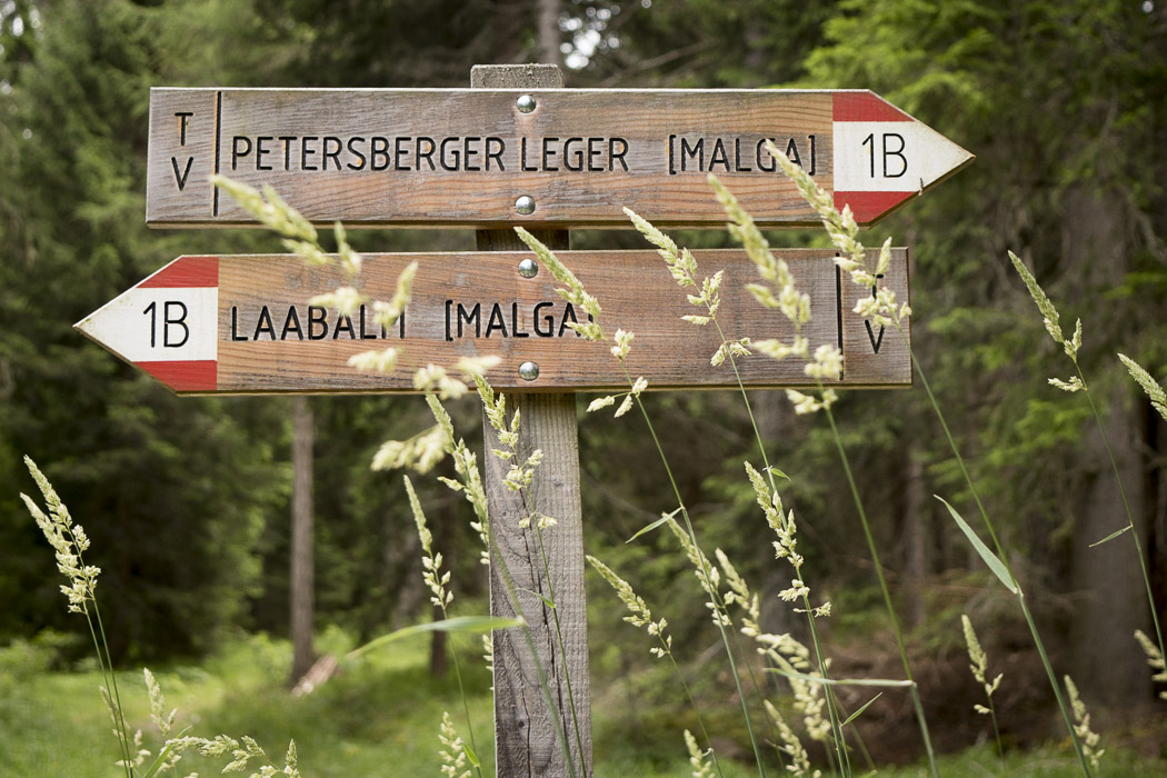 Kräuterwanderung mit Simone Lechner