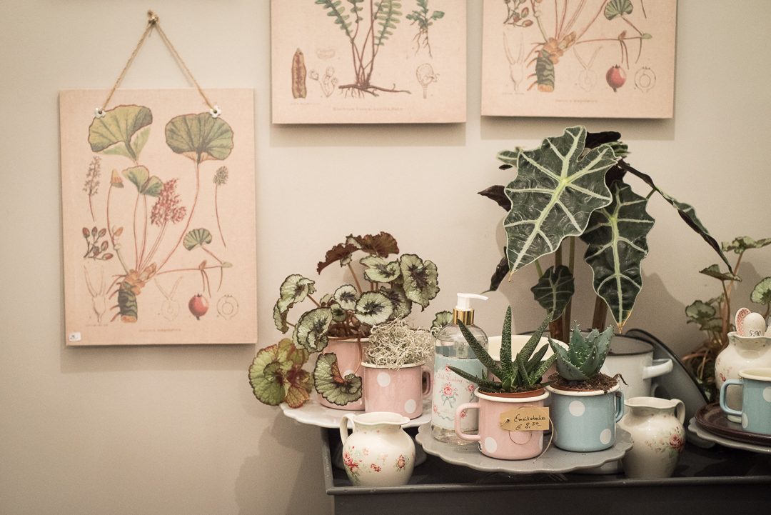 Flower Ladies Buch Vorstellung TwoInOne