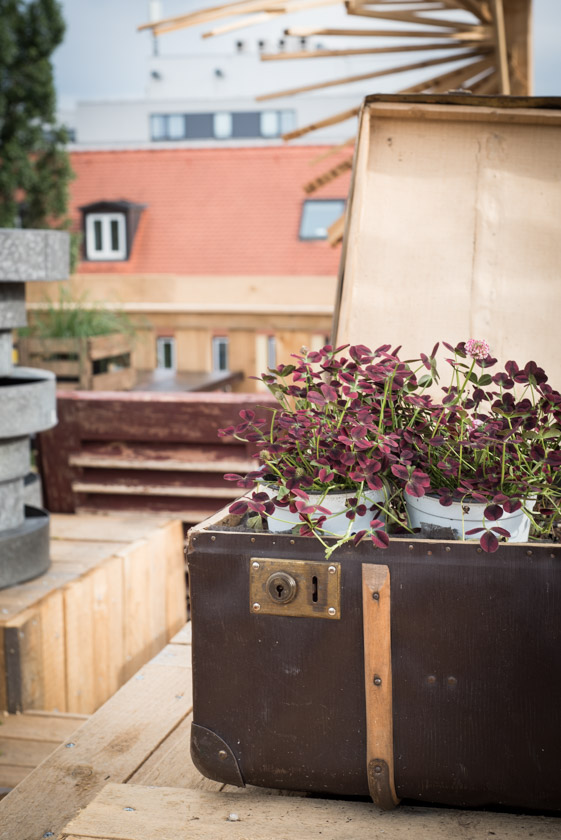 Dachgarten Parkhaus am Stachus München Rooftop - ISARBLOG Monika Schreiner