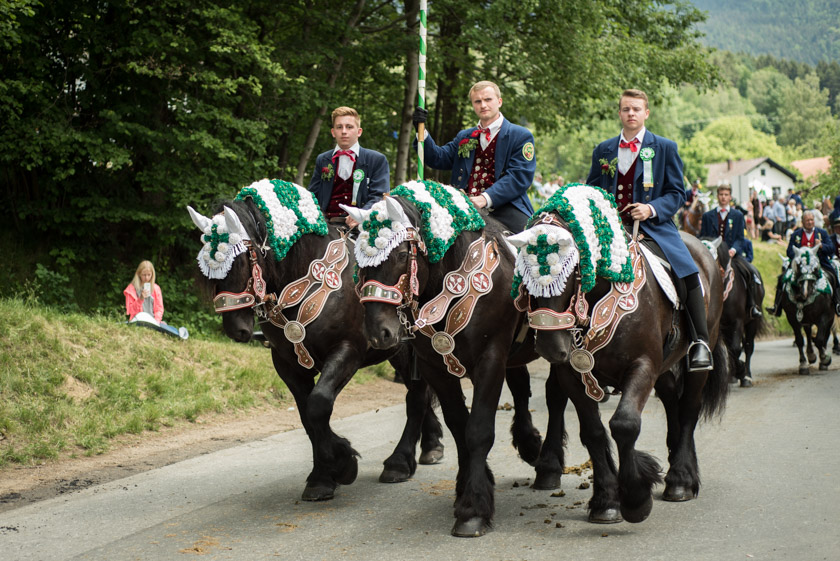 Pfingstritt Bad Kötzting Steinbühl Reiter Perd ISARBLOG