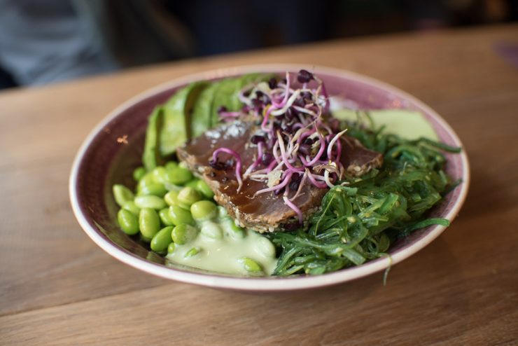 Nihongo Bowl Thunfisch Edamame Bowls and Blenders