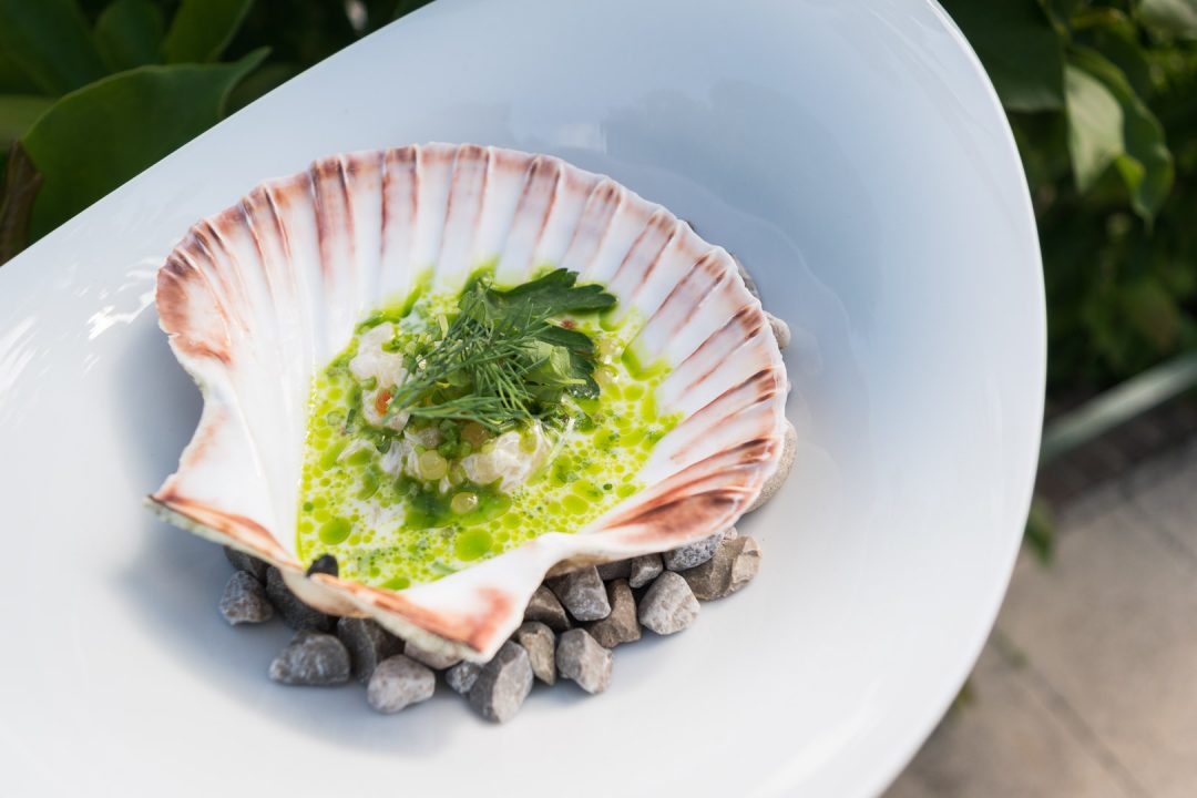 Jakobsmuschel mit Holunder, Restaurant Tulus Lotrek